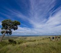 Serengeti Plains